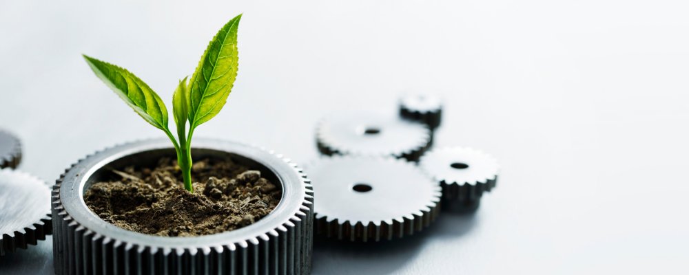 İş Seyahatinde Sürdürülebilirlik